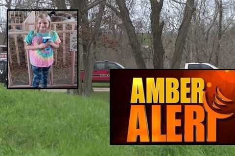 Houston-area girl missing from school bus stop, Persons of interest under investigation. Amber A…