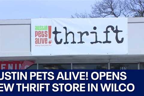 Austin Pets Alive! opens first thrift store in Williamson County | FOX 7 Austin