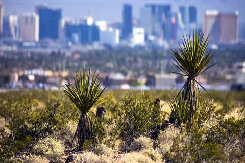 Exploring the Political Transformation of Las Vegas, Nevada