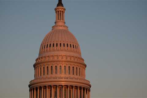 The Essential Role of Lobbyists in Washington DC Politics