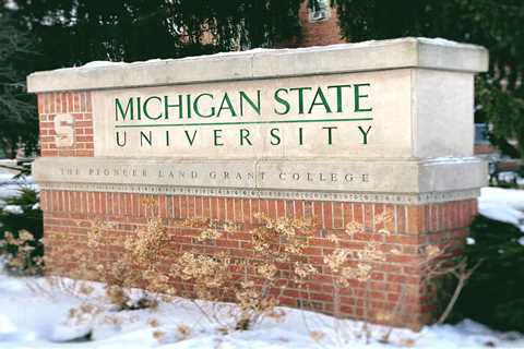 Report asks MSU to have governor consider removal of trustees Vassar and Denno •