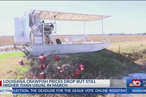 NBC 10 NEWS TODAY: Crawfish prices are still high even with recent price drops