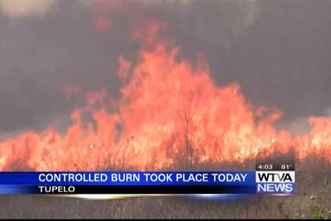 Controlled Burns happening along the Natchez Trace