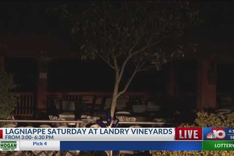 NBC 10 News Today: Mitch in the Morning LIVE at Landry Vineyards