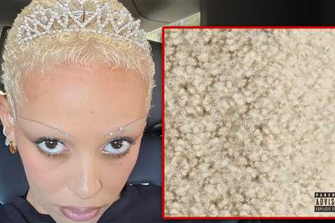 Doja Cat Slams Fans for Comparing Her Hair to Pubes