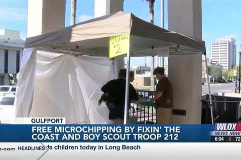 Fixin’ the Coast, Boy Scouts of America hold free pet microchip day