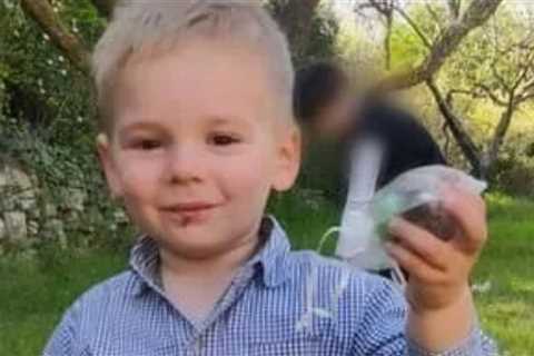 Hiker who found Emile Soleil’s remains ‘picked up two-year-old’s skull & handed it into cops’ in..