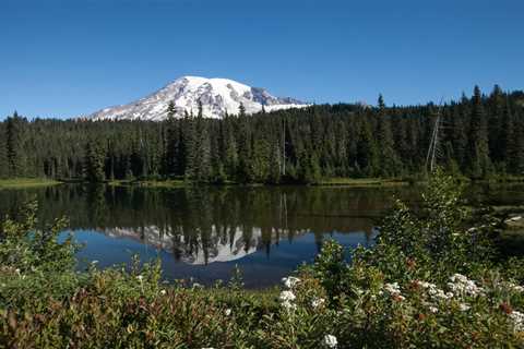 Mount Rainier National Park now requires reservations: How to apply