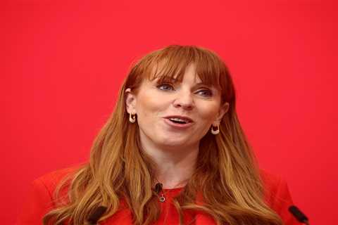 Labour Figure Suggests Angela Rayner Should Dodge Scrutiny Due to Northern Background