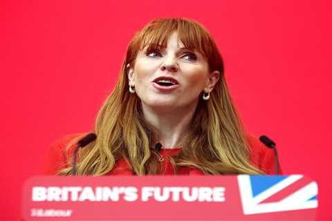 Police probe into Angela Rayner looks at multiple allegations, insiders claim