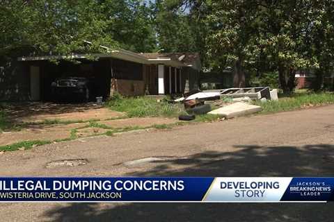 Wisteria Drive residents complain about illegal dumping