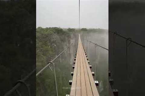 Influencer crosses bridge into clouds above 2,500ft tall waterfall