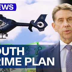 Queensland government to launch major offensive combating youth crime