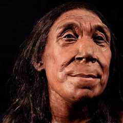 The face of a Neanderthal woman was created based on the skull – This is what our cousin looked..