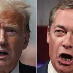 Former Trump adviser criticizes the idea of ​​a “human wrecking ball” Nigel Farage, who works with..