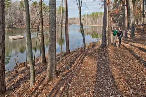 Discovering the Unique Municipalities of York County, South Carolina