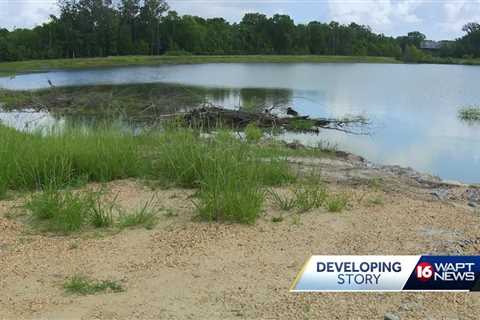 More body parts found in Flowood pond