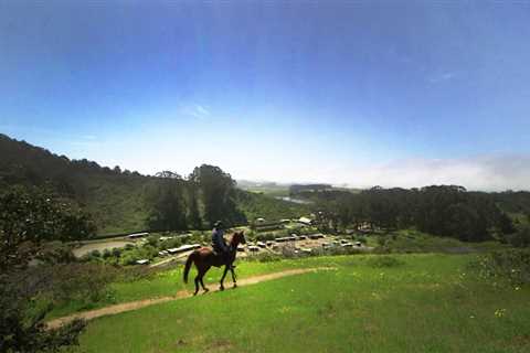 New report causes stampede of fear for coastal horse community – NBC Bay Area