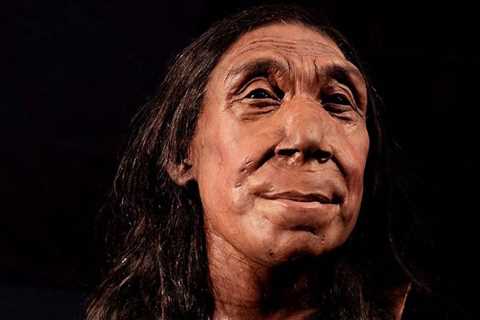 The face of a Neanderthal woman was created based on the skull – This is what our cousin looked..