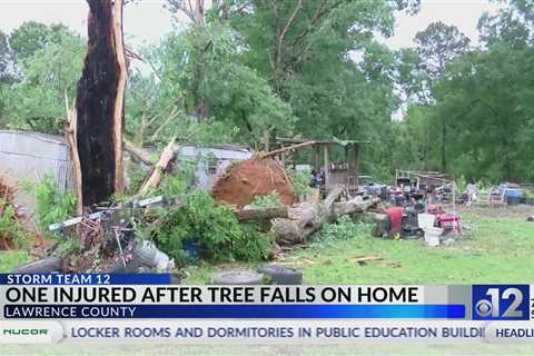 Fallen tree injures one during storm in Lawrence County