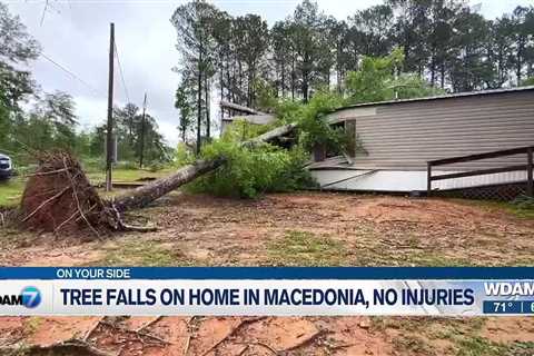 Tree falls on home in Macedonia, no injuries reported