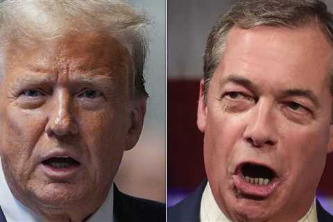 Former Trump adviser criticizes the idea of ​​a “human wrecking ball” Nigel Farage, who works with..