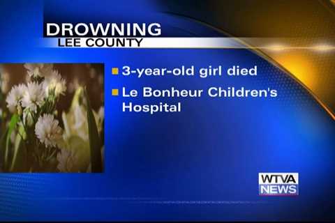 Toddler dies in Lee County drowning