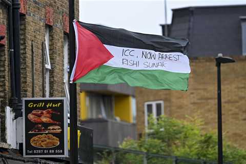 Taxpayers foot £40,000 bill to remove Palestinian flags, only to see them back up days later