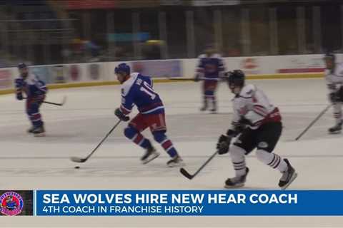 Sea Wolves hire new head coach