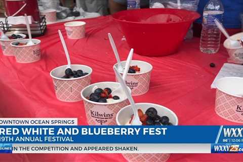 19th annual Red, White, and Blueberry Festival in Ocean Springs