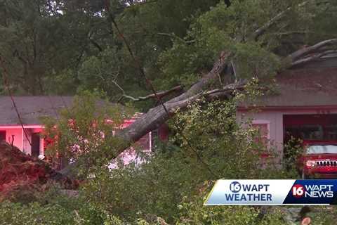 Residents are seeking shelter after tree falls on home