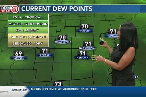 News 11 at 6PM_Weather 6/6/24