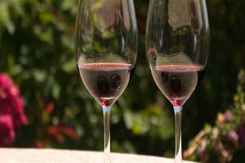 Unleashing the Best of Rockwall, TX Wine Festivals