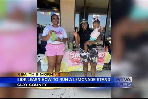 Kids learn entrepreneurship through lemonade stands