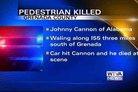 Pedestrian struck and killed in Grenada