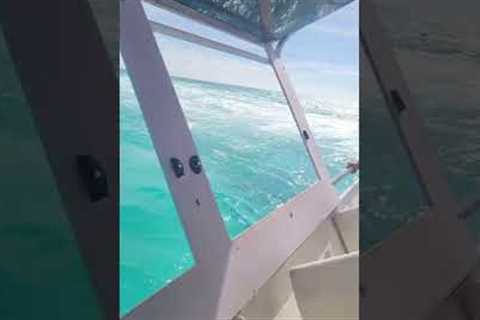 Passengers Panic As Bahamas Ferry Sinks