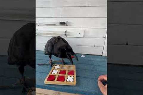 Raven Plays Tic-Tac-Toe