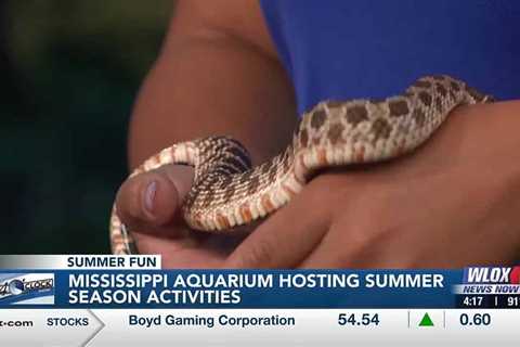 Mississippi Aquarium hosting summer season activities