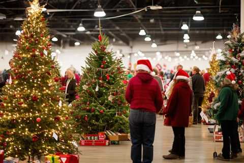 Christmas Tree Auction Ideas: Festive Firs for Fundraising