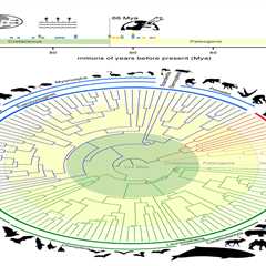 Researchers use genomes of 241 species to redefine mammalian tree of life