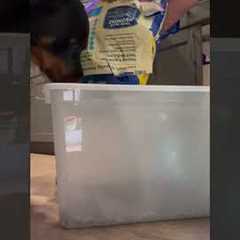 Dog Can Not Wait For Food