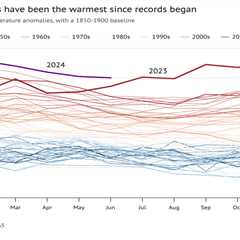 State of the climate: 2024 now very likely to be warmest year on record
