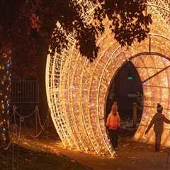 Experience the Magic of Winter at the Winter Lights Festival in Rockville, MD