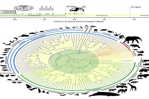 Researchers use genomes of 241 species to redefine mammalian tree of life