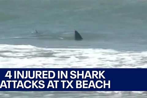 South Padre Island shark attacks injure 4, officials say