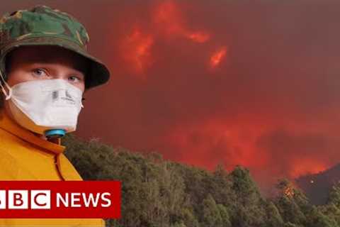 The families forced to defend their homes from Australian bushfires - BBC News