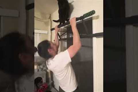 Cat Interrupts Man's Pull Ups