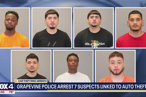 7 suspects linked to luxury auto theft ring