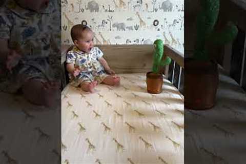 Toddler Meets Cactus Toy