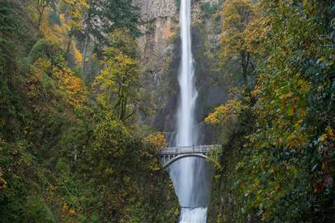 The Process of Requesting a Recount in Multnomah County, Oregon